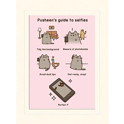 Image of Pyramid International Pusheen (Guide to Selfies) Mounted Print Memorabilia 30 x 40cm, Paper, Multicoloured, 40 1.3 cm