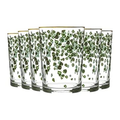 Image of 6x 520ml Green Leaf Bodega Highball Glasses By LAV