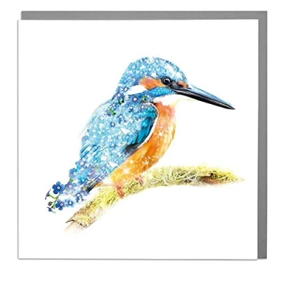 Image of Lola Design Wildlife Botanical Greeting Cards, Kingfisher Suitable for Birthdays, Congratulations or Any Special Occasions Blank Inside with Grey Envelope 150mm x