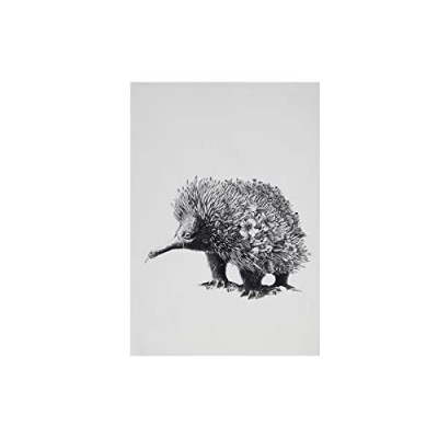 Image of Maxwell &amp; Williams Tea Towel with Echidna Design, 100% Indian Cotton, White, 50 x 70 cm
