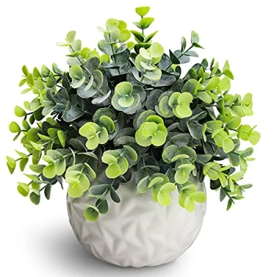 Image of Hopewood Fake Plants Indoor Small Artificial Eucalyptus in White Pots for Bedroom Home Decor Faux