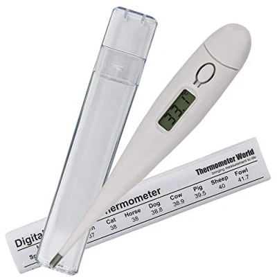 Image of Pet Thermometer For Animal Owners of Dogs Cats Horses Vets Fixed Head Digital Temperature Probe Includes Veterinary Hobdays Chart