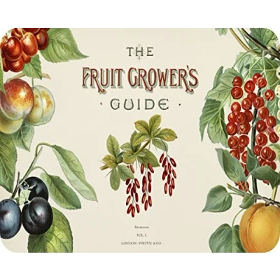 Image of Fruit Growers Glass Worktop Saver/Protector Kitchen Cutting Board by Pearl (50 x 40cm)