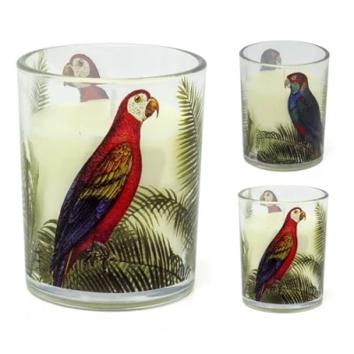 Image of Parrot Palm Boxed Candle Glass Holder With Scented White Wax Fragranced in Jar Aromatherapy Gift Fragrance/Design Varies One Supplied