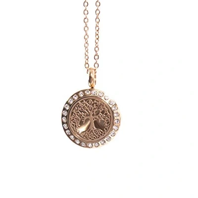Image of Tree of Life Aromatherapy Oil Diffuser Rose Gold Necklace Locket with Pad