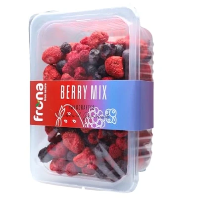 Image of Frona Dried Fruit, Cocktail Garnish Slices I Dehydrated Fruit Tray (Berry Mix, 100g)