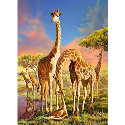 Image of Puzzles for Adults 1500 Piece,Wooden Puzzles,Giraffe Puzzle,Family Decoration (G3, piece)