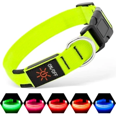 Image of Illumifun Light Up Collar for Dogs, USB Rechargeable LED Dog Collar, Adjustable Glow Pet Lights Night Walking (Green, Small)