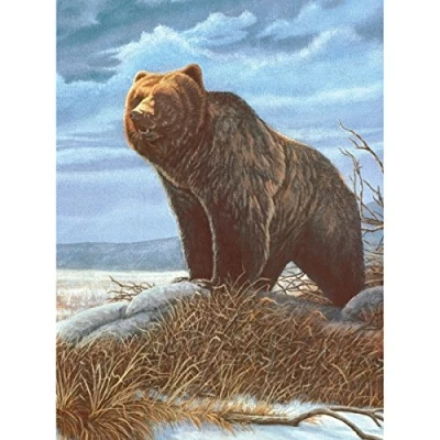 Image of Royal Brush Junior Small Paint by Number Kit x, Grizzly Bear, Acrylic, 8.75 11.75 Inch