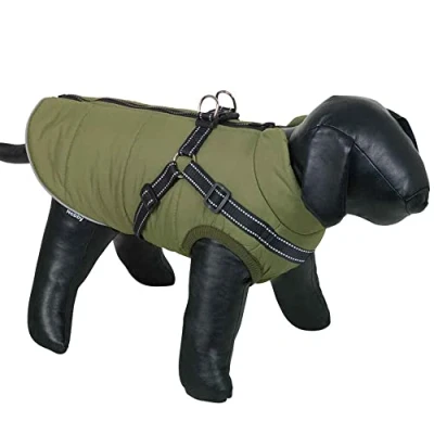 Image of Nobby Salus Dog Coat 2 in 1 Green 20 cm Pack of