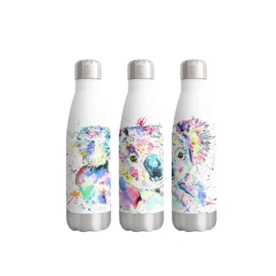 Image of Vixar Koala Watercolour Rainbow Art Bottle Double Wall Insulated Stainless Steel Sport Drinks 500ml White Gift Ideal for School Work Office Oudoor Sports Keeps Hot and Cold
