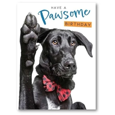 Image of Noel Tatt Male/Female Funny Birthday Card General for Men/Women &#039;Pawsome Birthday&#039; Dog in Bow Tie Eco Friendly and Recyclable