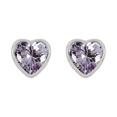 Image of RADLEY Ladies Silver Light Amethyst Heart Stud Earrings One Size RYJ1215