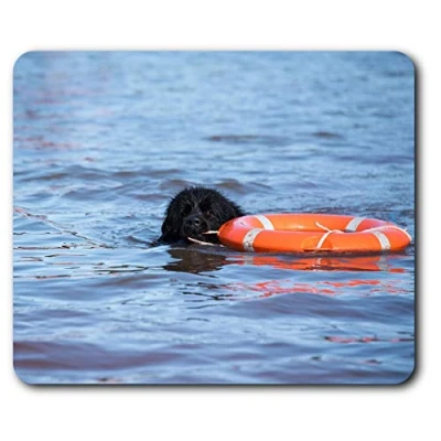 Image of Newfoundland Rescue Dog Mouse Mat Pad Computer PC Laptop Gaming Office Home Desk Accessory Gadget 3512