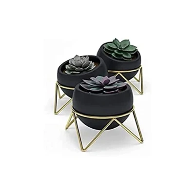 Image of Umbra Walldecor, Black/Brass,