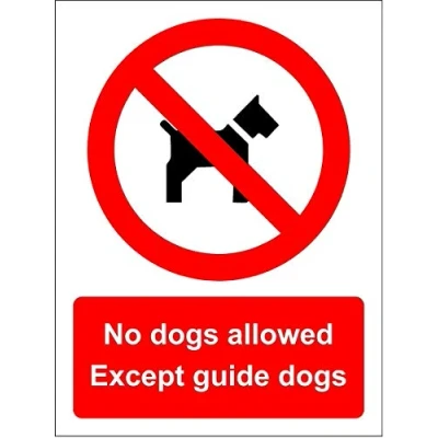 Image of No dogs allowed Except guide sign Face adhesive reverse window sticker 300mm x 200mm