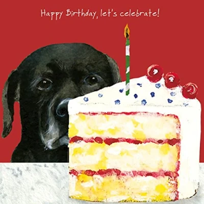 Image of Birthday Let&#039;s Celebrate Little Dog Laughed Greeting Card Blank Inside SQDB01