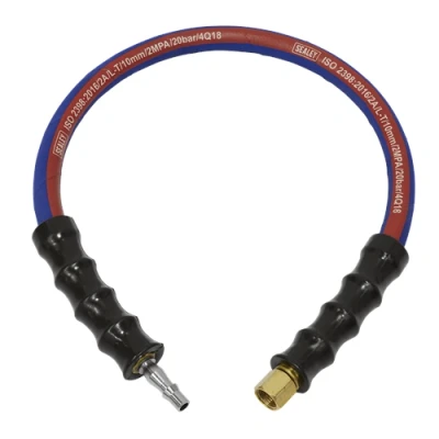 Image of Sealey Air Leader Hose 600mm x Ø10mm with Tailpiece &amp; 1/4&quot;BSP Union