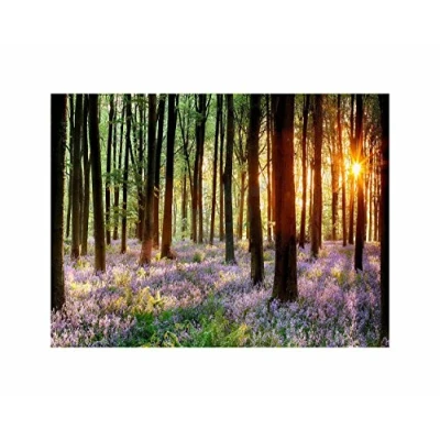 Image of Wee Blue Coo Bluebell Wood Sunrise Trees Photo Art Picture Canvas Print