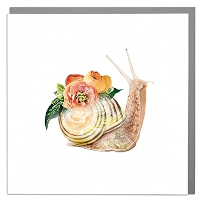 Image of Lola Design Wildlife Botanical Greeting Cards, Floral Snail Suitable for Birthdays, Congratulations or Any Special Occasions Blank Inside with Grey Envelope 150mm x