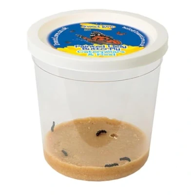 Image of Refill Cup of Caterpillars (no voucher to redeem!), Science, Education, Ages 4+