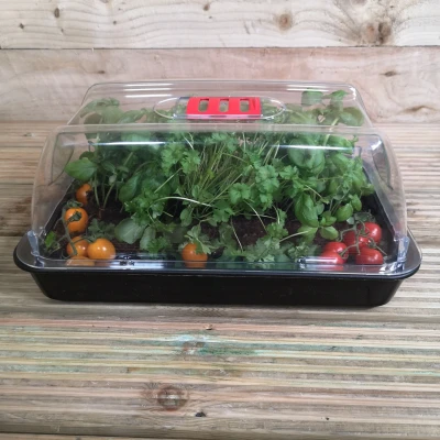 Image of 4 x 38cm Unheated Seed Starter Tray Grostart Midi Propagator Indoor Seedling Planter