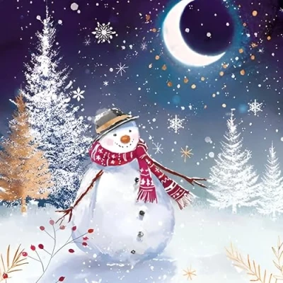 Image of GBCC Charity Christmas Cards Pack of 6 with a Moonlit Snowman Design Eco Friendly Xmas Multipack Envelopes