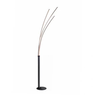 Image of JUST LIGHT. LED floor lamp Maja, 3 bulb black