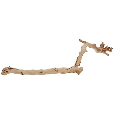 Image of Exo Terra Forest Branch, Large (Exact Size May Vary)