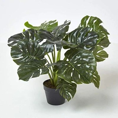 Image of HOMESCAPES Large Artificial Monstera Tree 60 cm Tall with Wood Effect Trunk Replica Swiss Cheese Plant in Black Pot Faux Moss Indoor Realistic for Home or Office Decoration