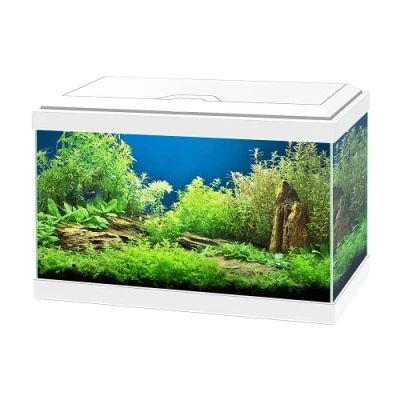 Image of Ciano Aqua 20 Aquarium with LED Lights &amp; Filter WHITE