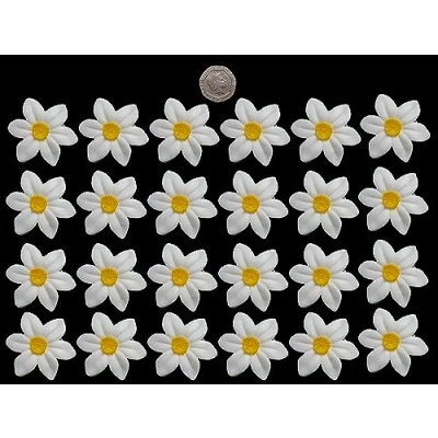 Image of 24 x edible 3D Wild Daffodils flowers icing toppers, cake cupcakes decorations (Ice White)