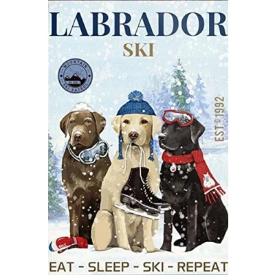 Image of TNND Gift For Labrador Retriever Dog Lovers Year Ski Decor Poster Wall Art Metal Sign 8X12 Inches