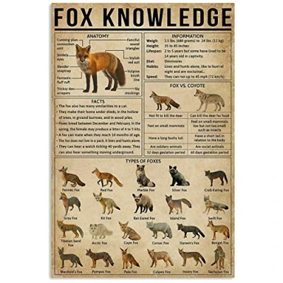 Image of TNND Fox Knowledge Art Poster For Indoor Home Decoration Wall Decor Metal Sign 8x12 inches