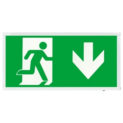 Image of Duceri 3W LED Maintained Emergency Sign DOWN, Self Test