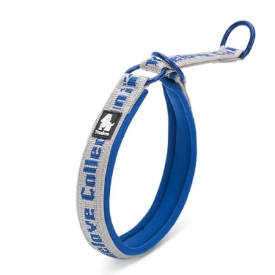 Image of Truelove Dog Choke Collar Reflective Slip No Pull Comfortable Martingale Pet Training TLC5371(Gray/Royal Blue,L)