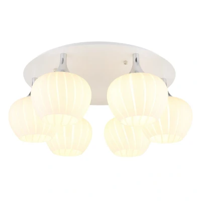 Image of Maxy Globe Ceiling Light White Matt Opal Glass Shade 6x E27