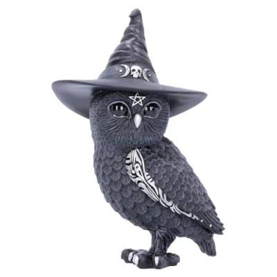 Image of Nemesis Now Cult Cuties Owlocen Figurine 13.5cm, Resin, Black, Small Owl Figurine, Scarily Adorable Bewitching Witch Cast in the Finest Expertly Hand Painted