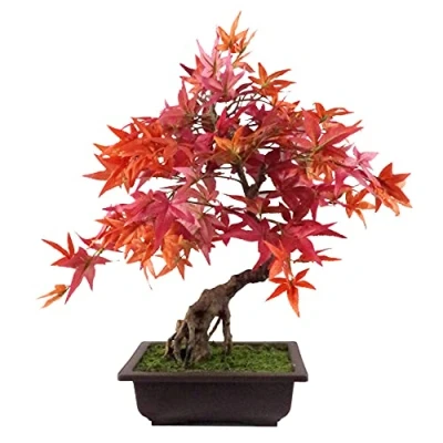 Image of Leaf Artificial Small Bonsai Tree