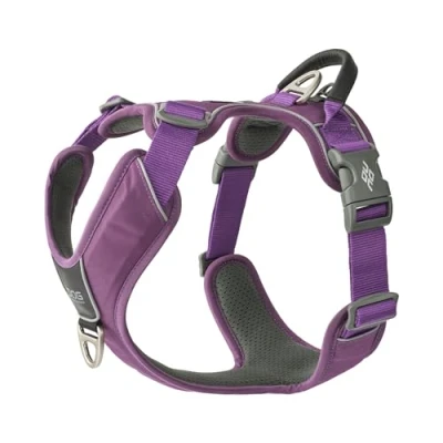 Image of DOG Copenhagen Comfort Walk Pro 3.0 Harness, Purple Passion, XL