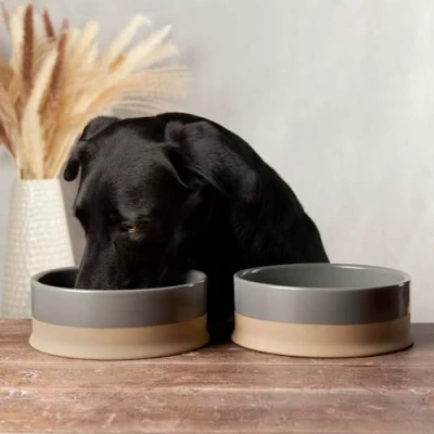 Image of Scruffs Scandi 2 Piece Non Tip Pet Food &amp; Water Bowl 20cm Grey