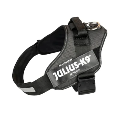 Image of IDC Powerharness, Size: 1/L, 2TON (Black Gray)