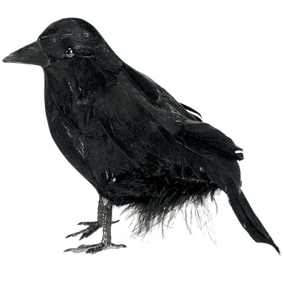 Image of amscan International ltd 247201 Feathered Raven Decoration Set, Small