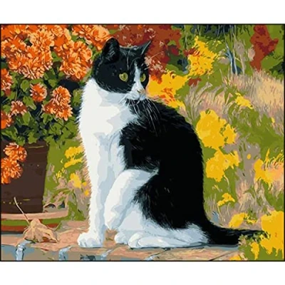 Image of 5D Diamond Painting Kits Full Drill Large Square Black and White Cat 30x40cm DIY Art for Adults Rhinestone Embroidery Pictures Cross Stitch Crafts Room Decoration Home Office