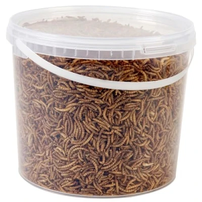 Image of Wild Bird Food 5L Tub (5L Tub, Dried Mealworms)