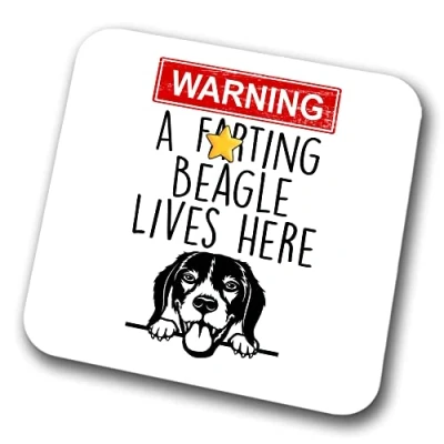 Image of Beagle Warning A Lives Here Mum Dad Coaster Dog Friend Funny Gift for Birthday Christmas,