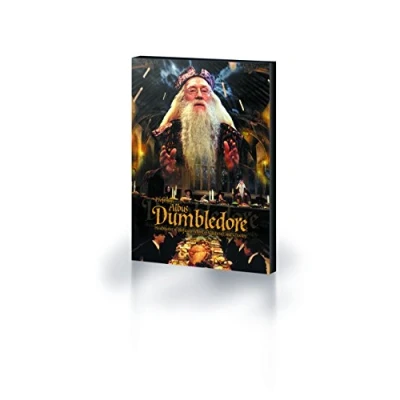 Image of Pyramid International Harry Potter (Dumbledore) Canvas Print 30 x 40cm, Wood, Multi Colour, 40 1.3 cm