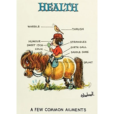 Image of Thelwell Pony Greeting Card Health. For horse lovers.