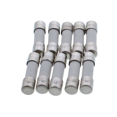 Image of Worcester Bosch 19045213420 Fusing Element T2 5 Amp