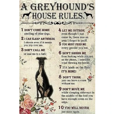 Image of Metal Tin Signs A greyhound&#039;s house rules Funny Sign Retro Vintage for Home Kitchen Coffee Farm Wall Art Decor 8X12 Inches